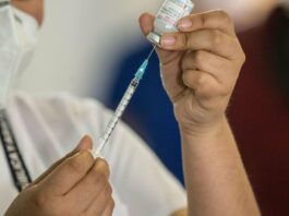 Marche, al via da lunedì la consegna dei vaccini che verranno somministrati dai medici di famiglia