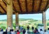 Agribiocons, presentati i progressi del progetto agricolo bio-conservativo rigenerativo