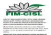 Operaio ferito, domani sciopero alla Fincantieri. La Fim Cisl: “Ecco perché non aderiamo”