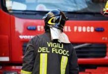 Fiamme in capannone nel Piceno, strage di polli e danni ingenti