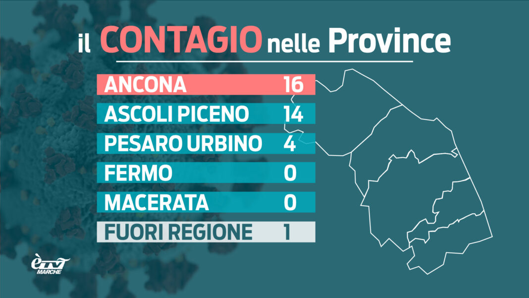 SCHEDA CONTAGI MARCHE_Tavola disegno 1