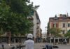 Falconara, donna aggredita da un cane lupo cecoslovacco: sanzione di 100 euro per il proprietario