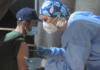 I dati: con Omicron i vaccinati si contagiano come i no vax ma si ammalano molto meno