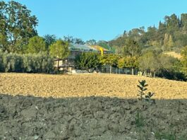 Colpito da una lastra di legno: operaio in eliambulanza a Torrette