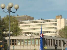 Mangiano funghi raccolti da un amico, finiscono in ospedale per intossicazione