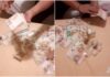 Indagini a tappeto sul Reddito di Cittadinanza, scoperti altri illeciti nelle Marche Indagini a tappeto sul Reddito di Cittadinanza, scoperti altri illeciti nelle Marche