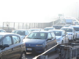 Primo giorno del super green pass: caos e code in centro ad Ancona, nessun controllo sul regionale Fabriano-Ancona Primo giorno del super green pass: caos e code in centro ad Ancona, nessun controllo sul regionale Fabriano-Ancona