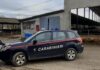 Stalle sporche e animali maltrattati, denunciati presidente e dipendente di un allevamento della Valle del Misa