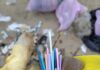 Ancora tanta, troppa plastica sulle spiagge marchigiane. Ecco i numeri del monitoraggio di Beach Litter di Legambiente Ancora tanta, troppa plastica sulle spiagge marchigiane. Ecco i numeri del monitoraggio di Beach Litter di Legambiente