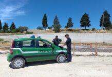 Traffico rifiuti in cave dismesse nell’Anconetano, sei patteggiamenti