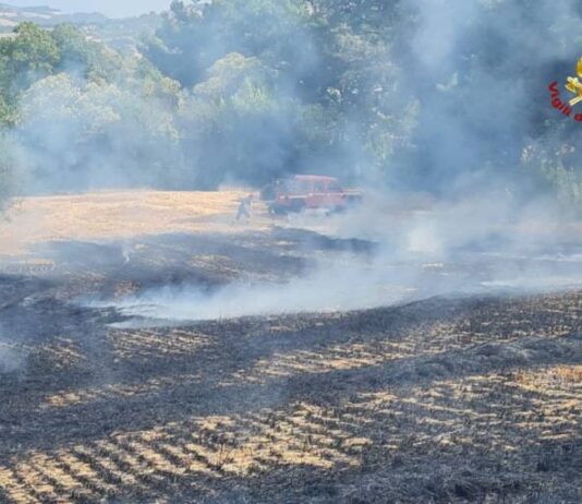 Campo di grano in fiamme a Osimo