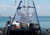 Colpo di scena: i pescherecci tornano in mare. Preoccupa l’Agricoltura. Coldiretti: “Misura colma, pronti allo sciopero” Colpo di scena: i pescherecci tornano in mare. Preoccupa l'Agricoltura. Coldiretti: "Misura colma, pronti allo sciopero"
