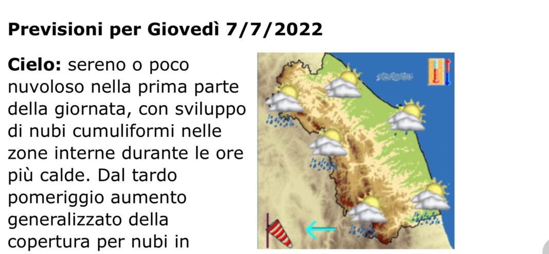 WhatsApp Image 2022-07-06 at 12.09.16