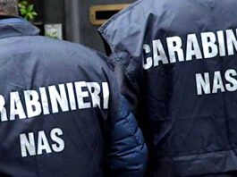 Pesaro. Latte e formaggi adulterati, scattano i sequestri