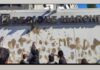 Friday for Future, sede della Regione imbrattata con il fango dell’alluvione di Senigallia