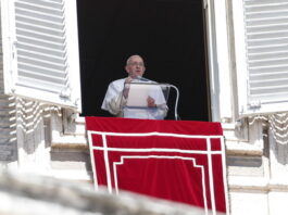 E’ morto Papa Francesco, forte la sua vicinanza alle Marche e ai territori colpiti dal sisma Papa Francesco: "Dio possa dare forza alle Marche". Ancora senza esito le ricverche del piccolo Mattia e di Brunella