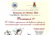 Appuntamenti: domenica a Castelfidardo incontro e confronto tra arte ed emozioni promosso da Maria Lampa Appuntamenti: domenica a Castelfidardo incontro e confronto tra arte ed emozioni promosso da Maria Lampa