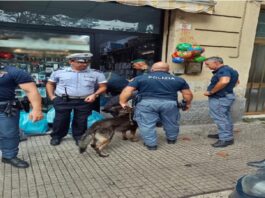 Cibi scaduti, escrementi di piccione e un lavoratore senza contratto: maxi sanzione e chiusura per un locale anconetano di via Maggini
