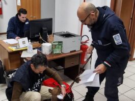 Ancona. Il viaggio di un cucciolo dall’Albania all’Italia in uno spazio angusto, senza documenti e sotto età: il cane è salvo, denunciati proprietario e trasportatore