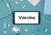 La battaglia contro l’Australiana: già 5.500 vaccini antinfluenzali distribuiti gratuitamente nelle farmacie delle Marche La battaglia contro l'Australiana: già 5.500 vaccini antinfluenzali distribuiti gratuitamente nelle farmacie delle Marche