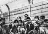 Giorno della Memoria, Latini: “Storie di persone, dolore e disperazione”. Il Presidente richiama il monito della Segre Giorno della Memoria, Latini: "Storie di persone, dolore e disperazione". Il Presidente richiama il monito della Segre