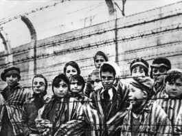 Giorno della Memoria, Latini: “Storie di persone, dolore e disperazione”. Il Presidente richiama il monito della Segre Giorno della Memoria, Latini: "Storie di persone, dolore e disperazione". Il Presidente richiama il monito della Segre