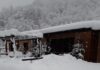 Maltempo nelle marche: per i terremotati la beffa dell’ennesima nevicata da vivere dentro le casette d’emergenza Maltempo nelle marche: per i terremotati la beffa dell'ennesima nevicata da vivere dentro le casette d'emergenza
