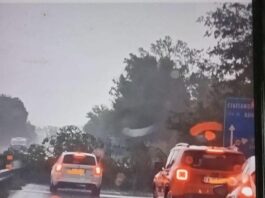 Maltempo, ci risiamo. Fiumi da paura, strade allagate, e la pioggia non dà tregua. Albero si abbatte sulla Superstrada, auto sfiorate a 100km/h Maltempo, ci risiamo. Fiumi da paura, strade allagate, e la pioggia non dà tregua. Albero si abbatte sulla Superstrada, auto sfiorate a 100km/h