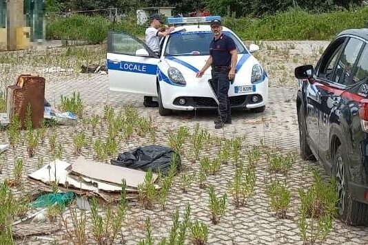 Ancona. Maxi discarica a cielo aperto: sequestrata un’area da 9mila metri quadri