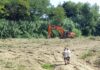 Alluvione 2022. I lavori di pulizia del Misa continuano a Borgo Bicchia di Senigallia. Programmati due interventi in zona Pianello. Acquaroli: “Presto il Pesarese”
