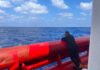 Ancona. Torna la Ocean Viking, assegnato il porto dorico: a bordo 68 migranti