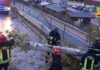 Vento forte sulle Marche. Interventi dei Vigili del fuoco. Cade un albero su alcune SAE a Muccia: nessun ferito