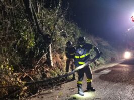 Maltempo, il report degli interventi dei vigili del fuoco