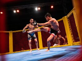 Arti marziali. Al PalaBaldinelli di Osimo torna il Warriors Cage Fight