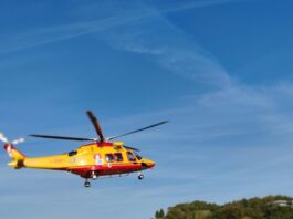 Albero si abbatte su un operaio durante la manutenzione sul Potenza, è grave