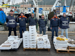 Pesce in vendita per strada senza ghiaccio nè autorizzazioni: sequestrati 400 kg di prodotto