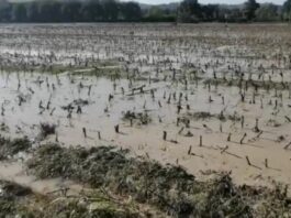 Giornata mondiale del suolo. Coldiretti: “Tutela dell’agricoltura significa tutela del territorio”
