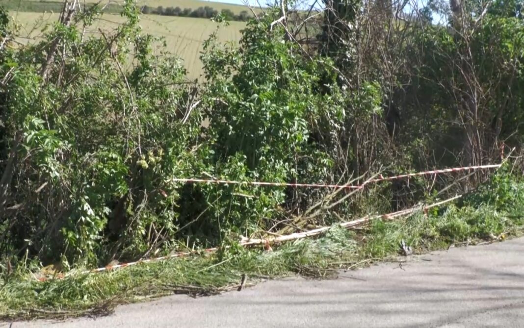 Incidente Pasquetta - Mogliano