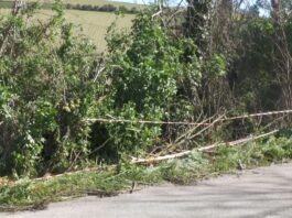 Mogliano. L’incidente di Pasquetta, domani i funerali di Federico. Il sindaco annuncia lutto cittadino