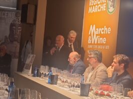 Al via il Vinitaly, Sabatini: “Camera Marche con la Regione vicina al settore”