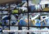Ancona, sicurezza. Silvetti: “Città sotto controllo, spycam e integrazione” – VIDEO