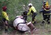 Sarnano. Mucca precipita in un dirupo: recupero “aereo” dei vigili del fuoco