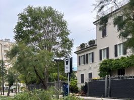 Allagamenti e alberi caduti. Il maltempo sferza le Marche. Gli interventi dei Vigili del Fuoco. Nel weekend torna il sole