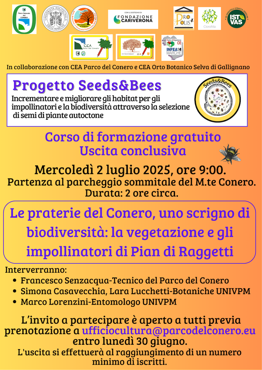 uscita 02.07