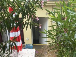 Grandine, vento e pioggia del 4 agosto, danni ingenti anche in agricoltura: Osimo, Castelfidardo e Numana insieme per chiedere lo stato di calamità