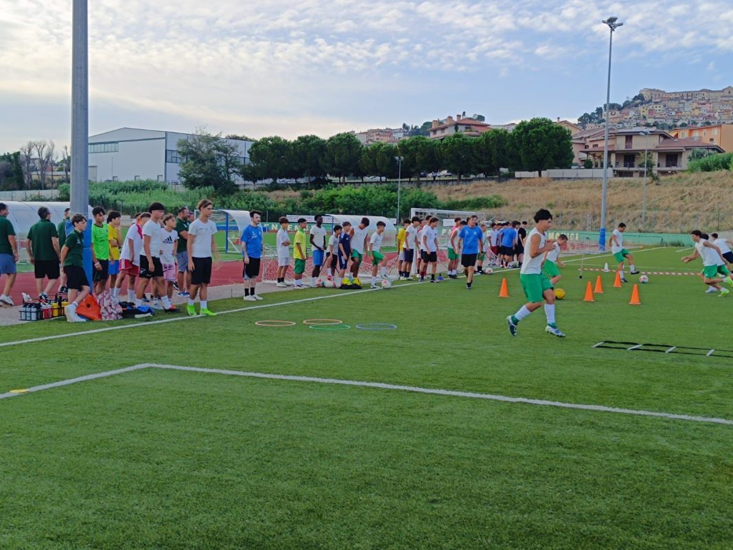 open day castelfidardo open day castelfidardo