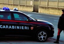 Fano, cane trascinato e preso a calci. Scatta la denuncia di LNDC Animal Protection
