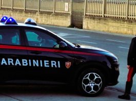Fano, cane trascinato e preso a calci. Scatta la denuncia di LNDC Animal Protection