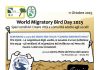 Giornata Mondiale degli Uccelli Migratori: sabato 11 ottobre iniziativa al Centro Visite del Parco del Conero