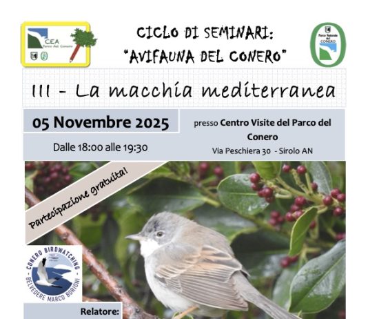 Pomeriggi Natura al Parco del Conero. Terzo incontro sul tema “La Macchia Mediterranea”